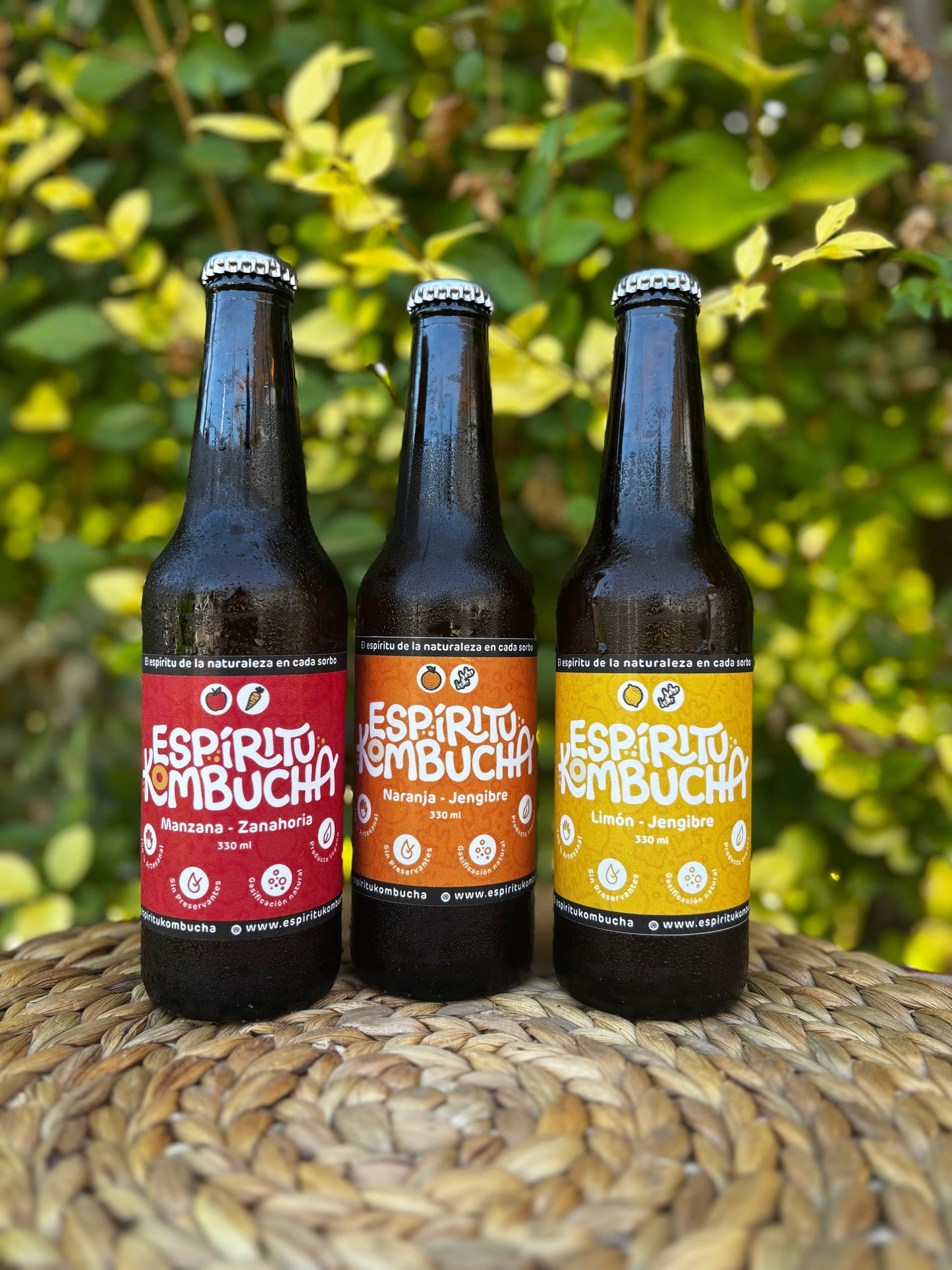 Pack 12 Kombuchas mix sabores 330 cc. Tu Rutina Semanal de Vitalidad