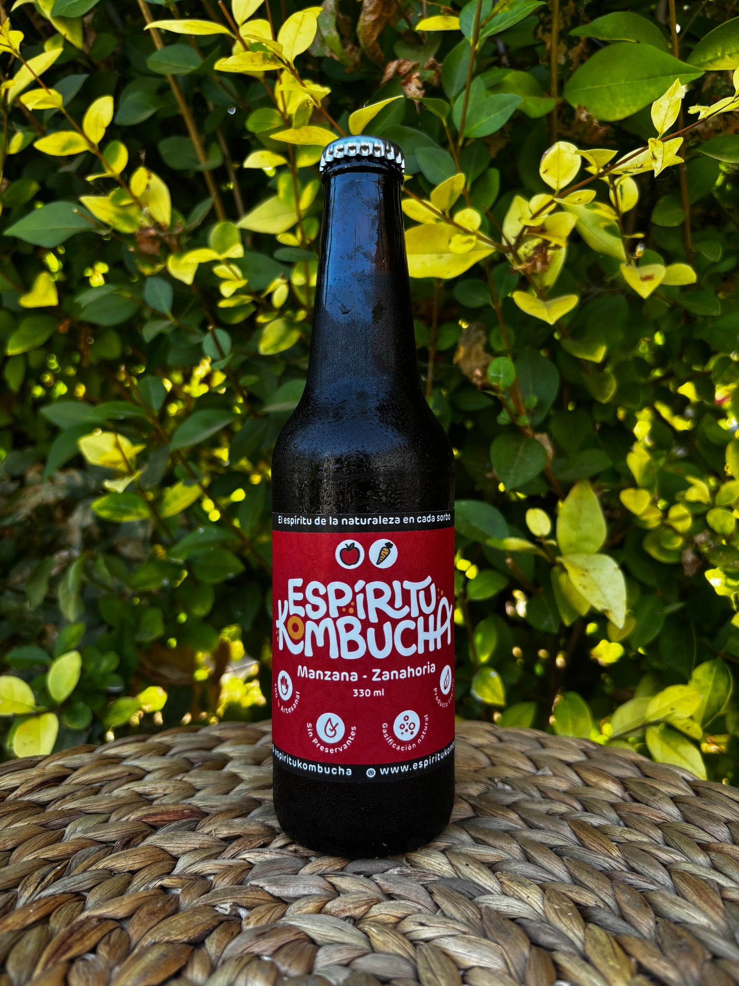 Kombucha manzana-zanahoria 330 cc