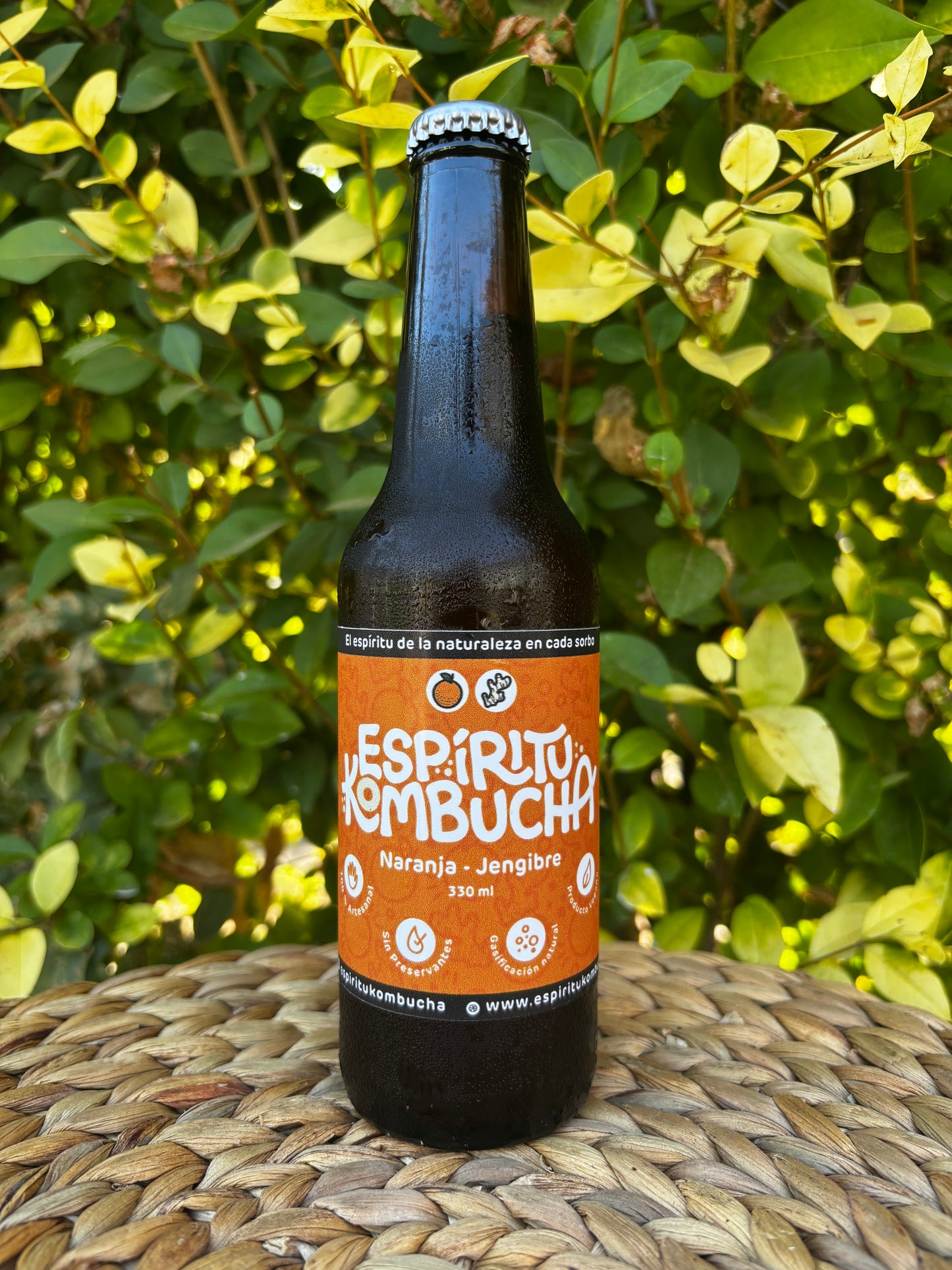 Kombucha Naranja Jengibre 330 cc