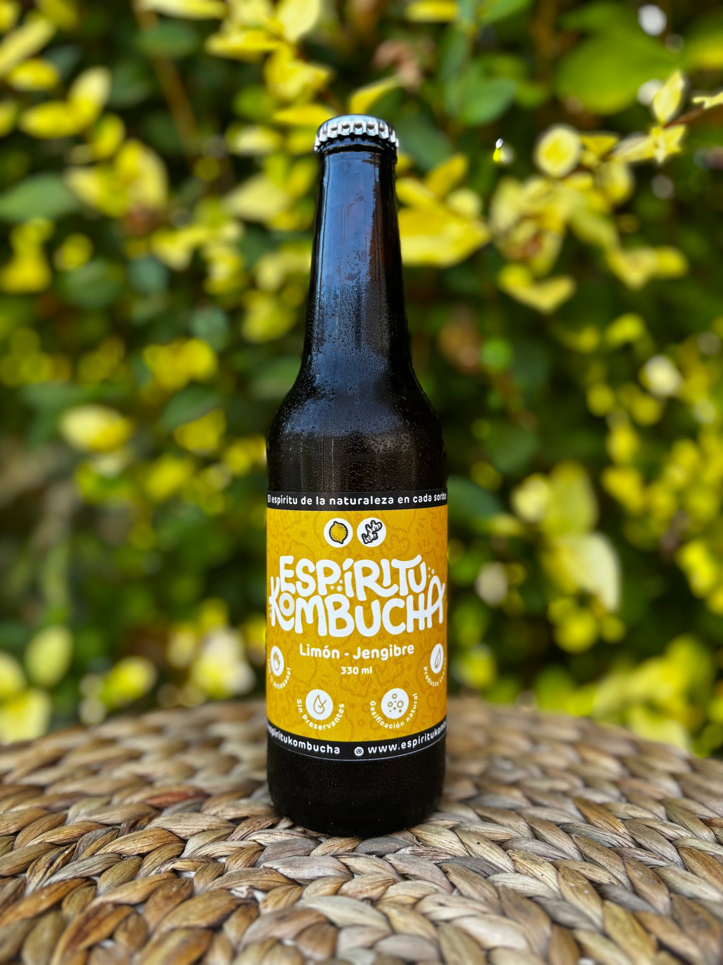 Kombucha Limón Jengibre 330 cc