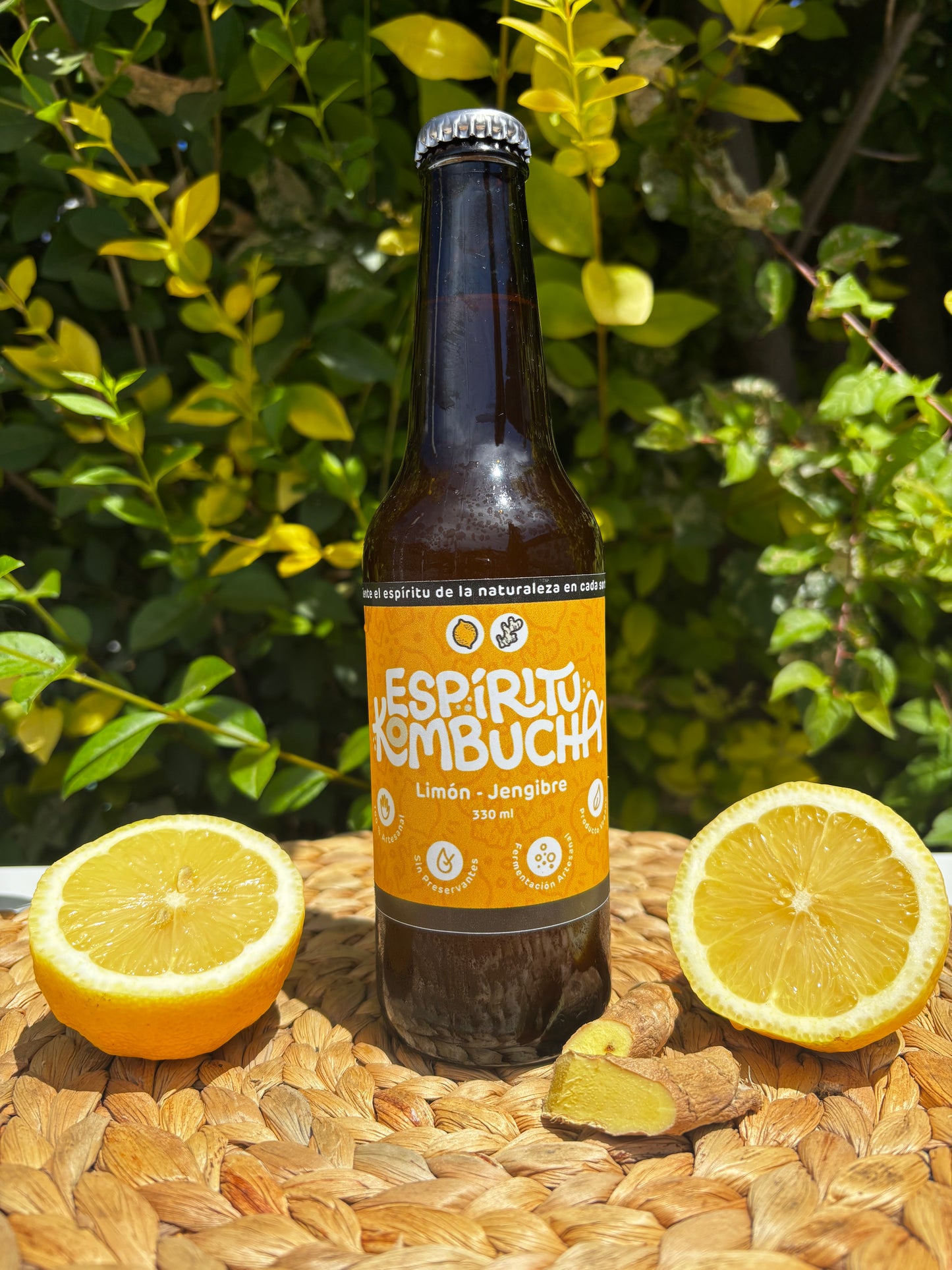 Kombucha Limón Jengibre 330 cc