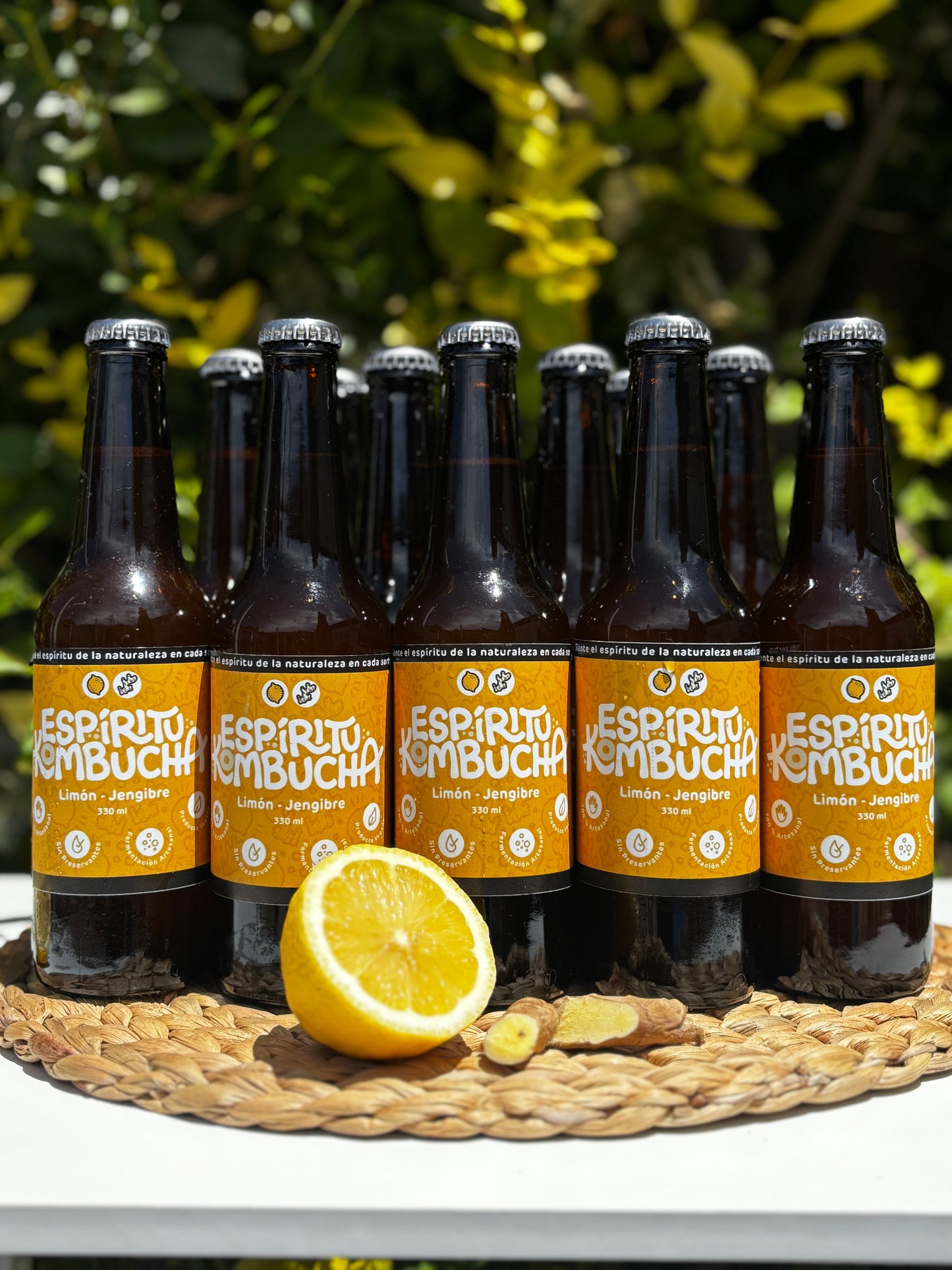 Pack 24 Kombuchas Limón Jengibre 330 cc