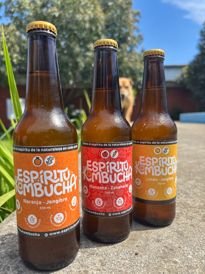 Pack 6 Kombuchas mix sabores 330 cc. Tu Rutina Semanal de Vitalidad