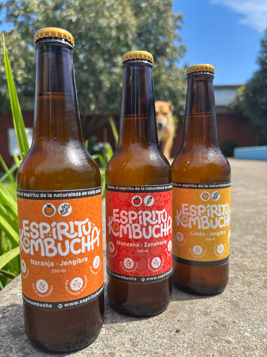 Botellas de kombucha EKo de tres sabores con vaso servido