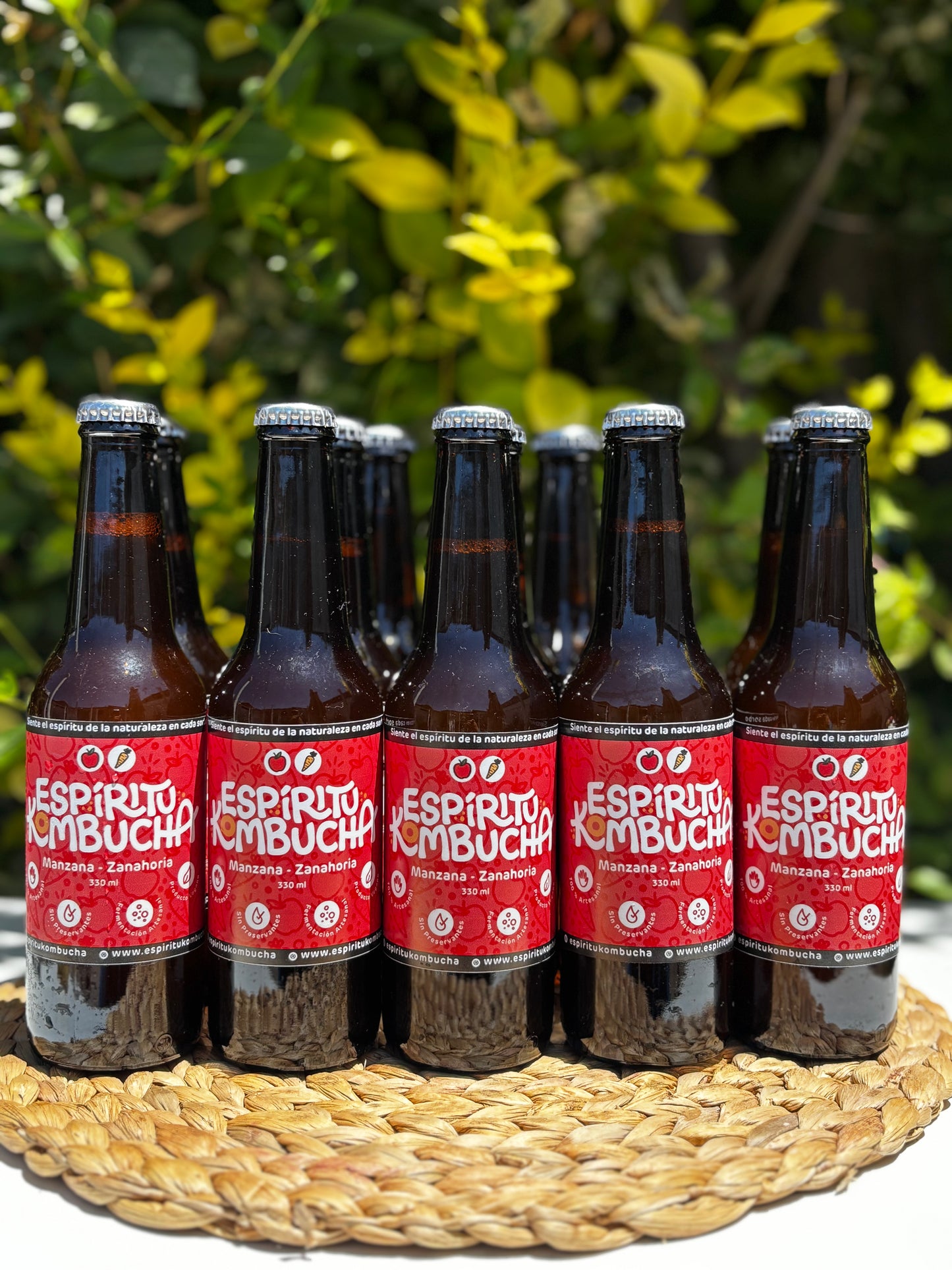 Pack 12 Kombucha Manzana Zanahoria 330 cc