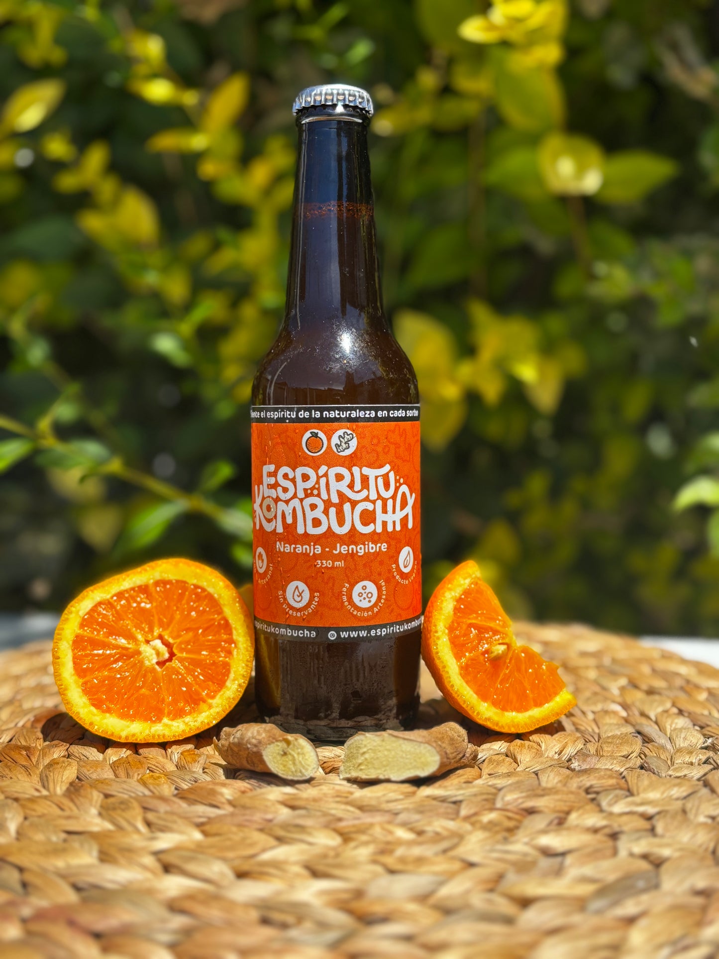Kombucha Naranja Jengibre 330 cc