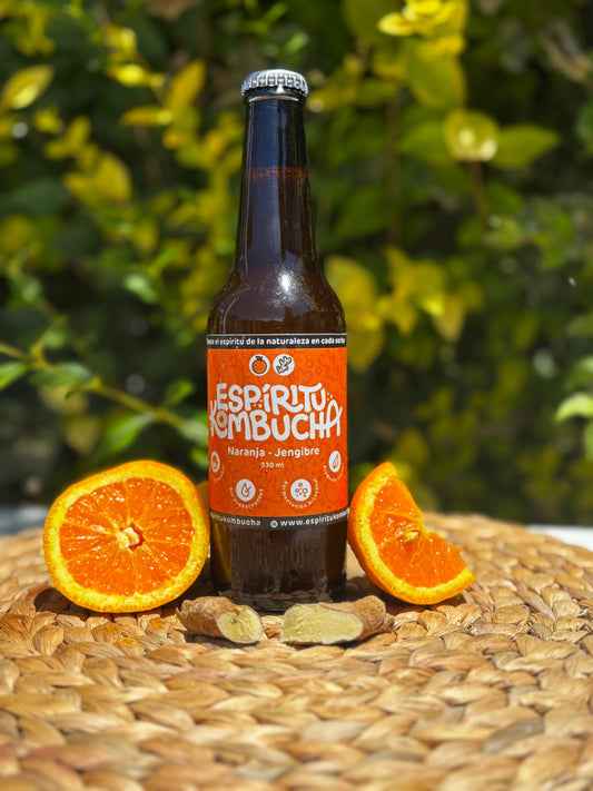Kombucha Naranja Jengibre 330 cc
