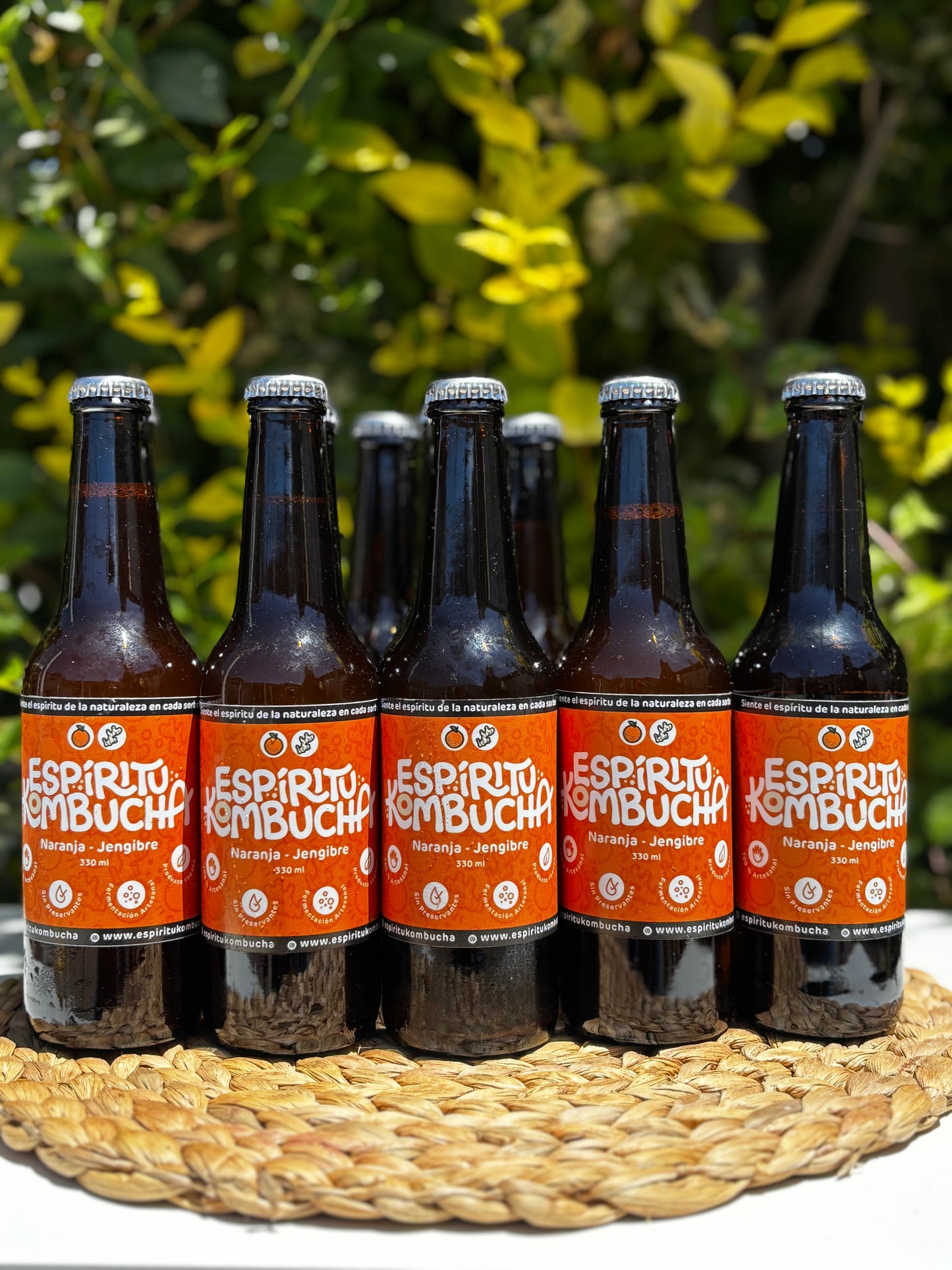 Pack 12 Kombuchas Naranja Jengibre 330 cc