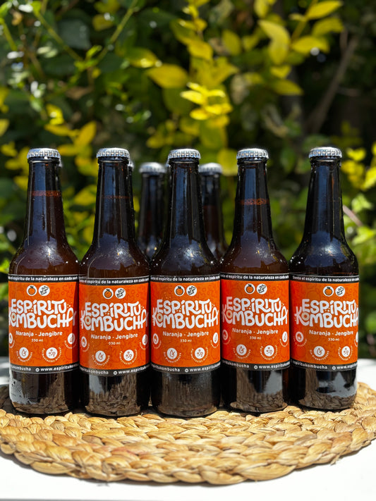 Pack 12 Kombuchas Naranja Jengibre 330 cc