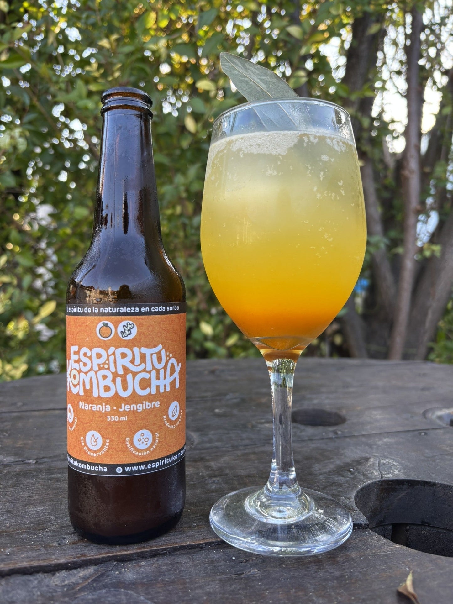 EKo-mocktail-NJ