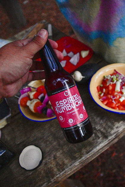 Pack 12 Kombucha Frambuesa 330 cc. El Poder Antioxidante