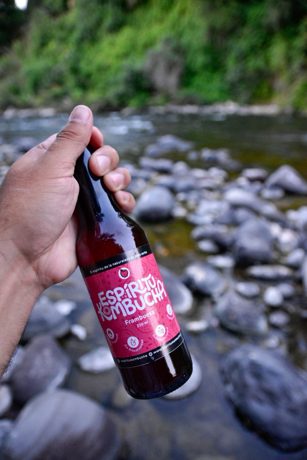 Pack 12 Kombucha Frambuesa 330 cc. El Poder Antioxidante