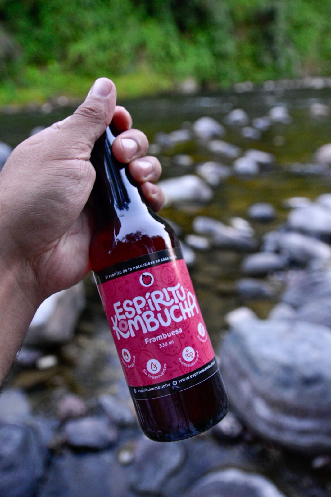 Pack 12 Kombucha Frambuesa 330 cc. El Poder Antioxidante