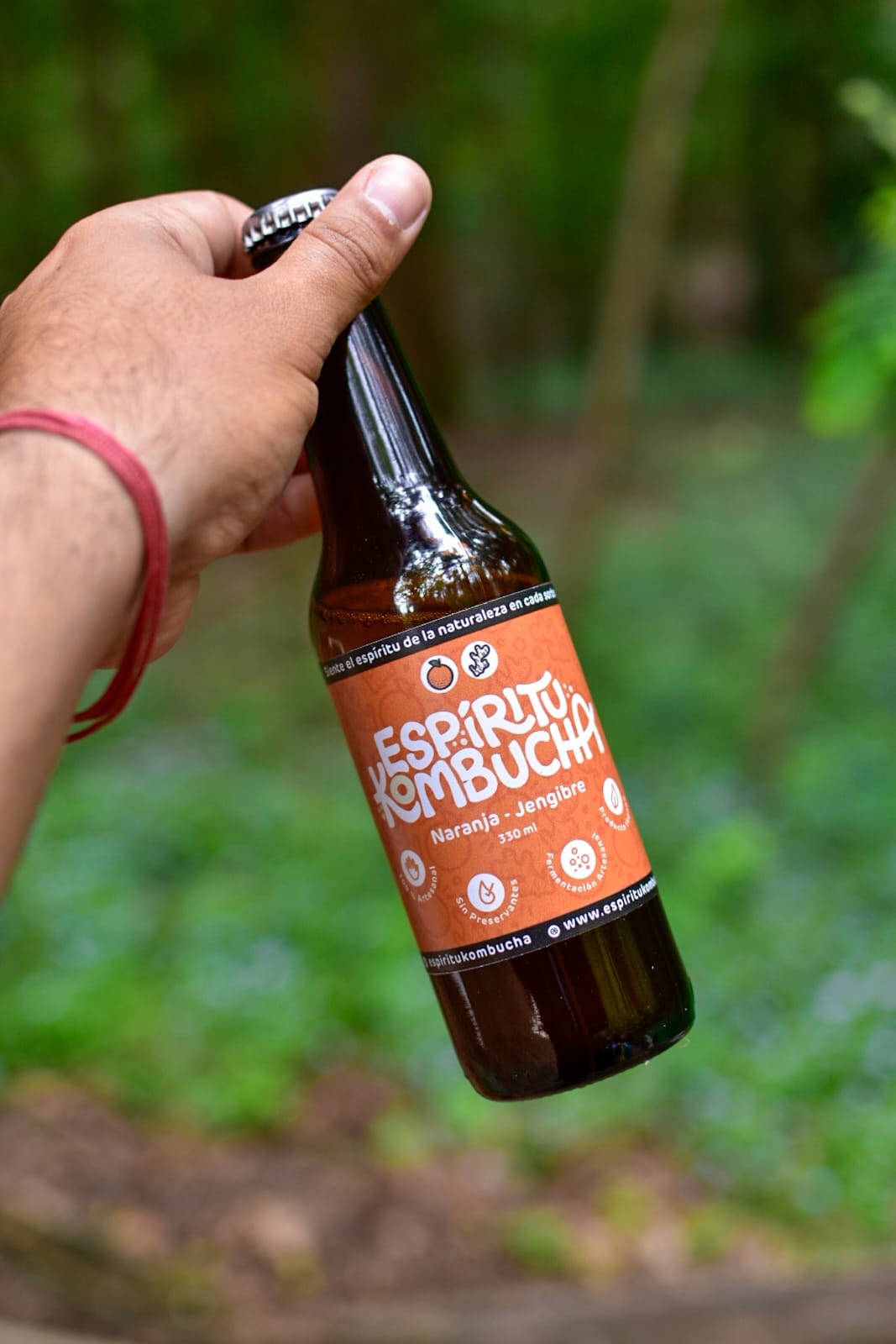 Pack 6 Kombuchas Naranja Jengibre 330 cc. El equilibrio perfecto